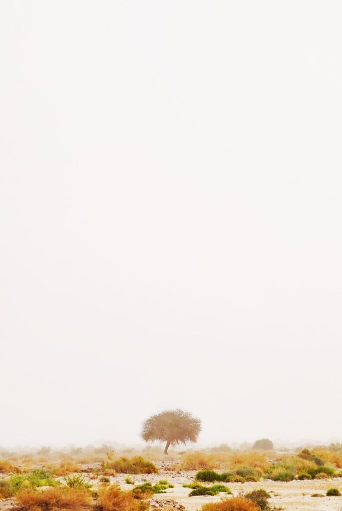 男性の一人旅で5万円の予算で楽しむ国内3日間プランは？