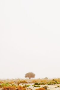 男性の一人旅で5万円の予算を使った3日間の国内旅行プランは？