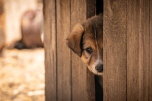 一人旅でメンタルの不安を解消する方法は？